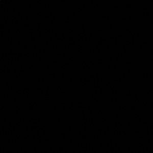 Meet your Posher, Ana camila